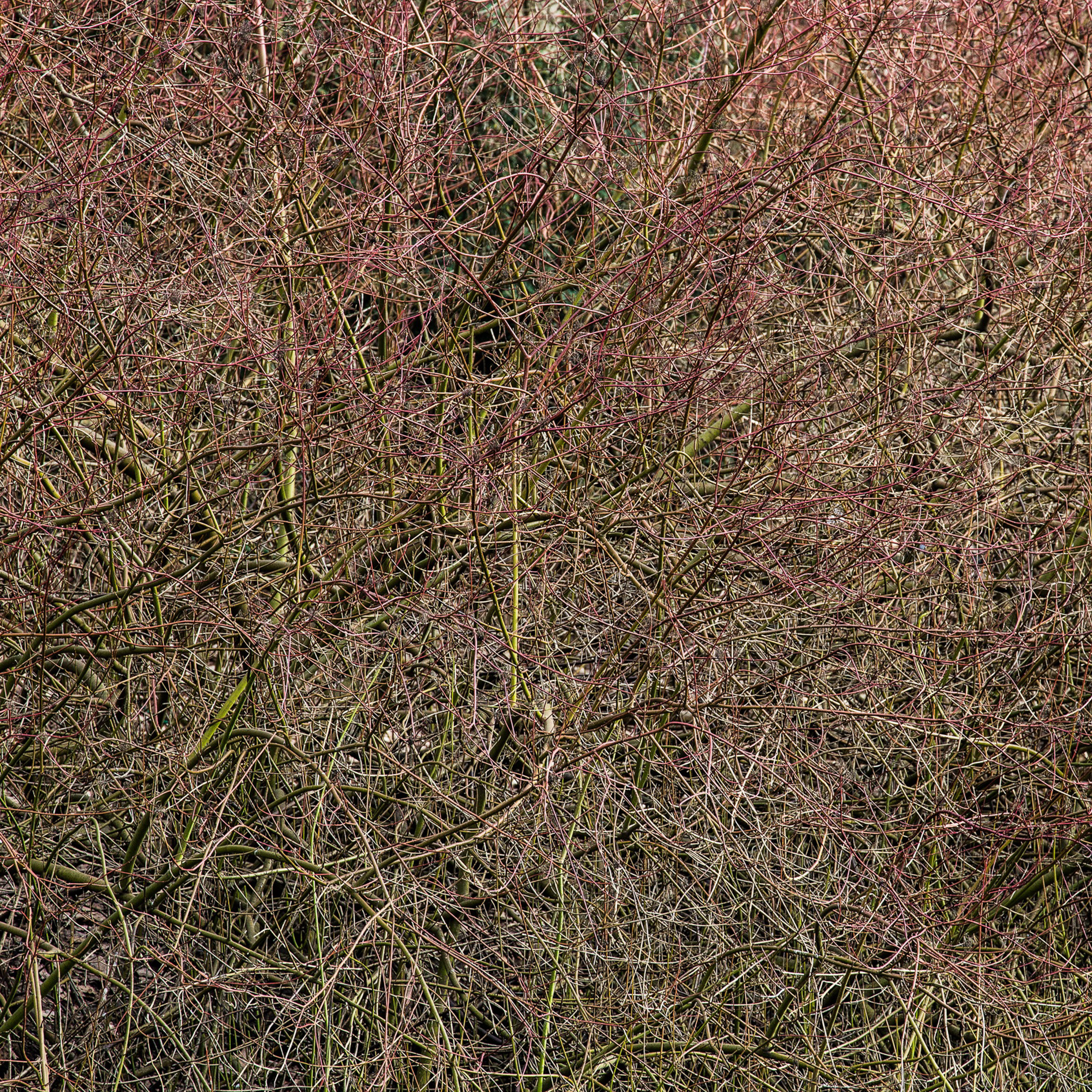 Fotografie von Manfred