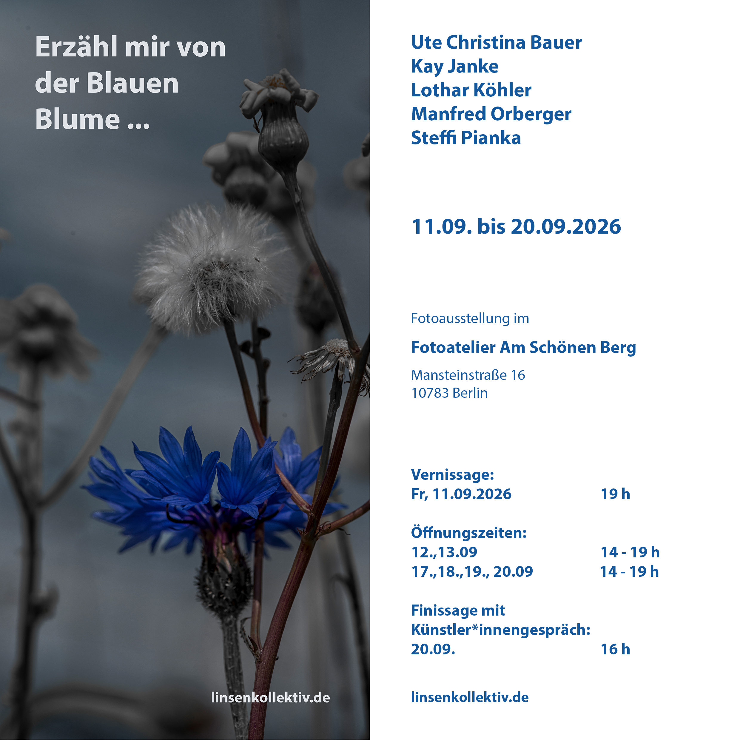 Exhibiton Cover - Blaue Blume